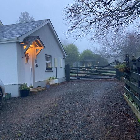 Beech Tree Cottage Glenwherry 外观 照片